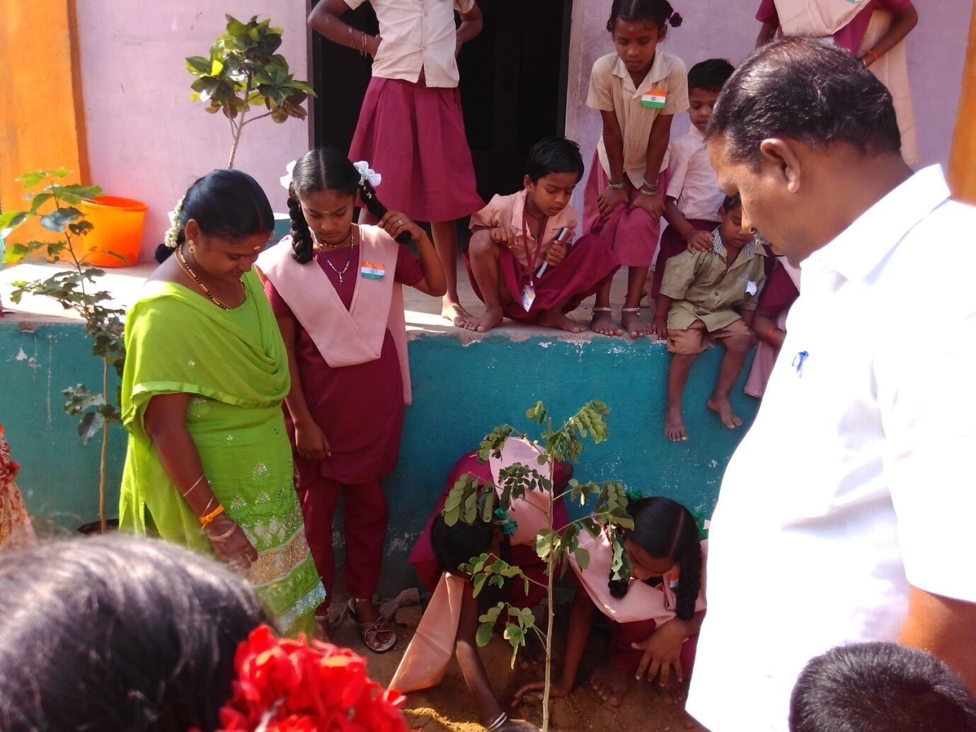 Students, youth and farmers participating in a JSWET tree-planting programme